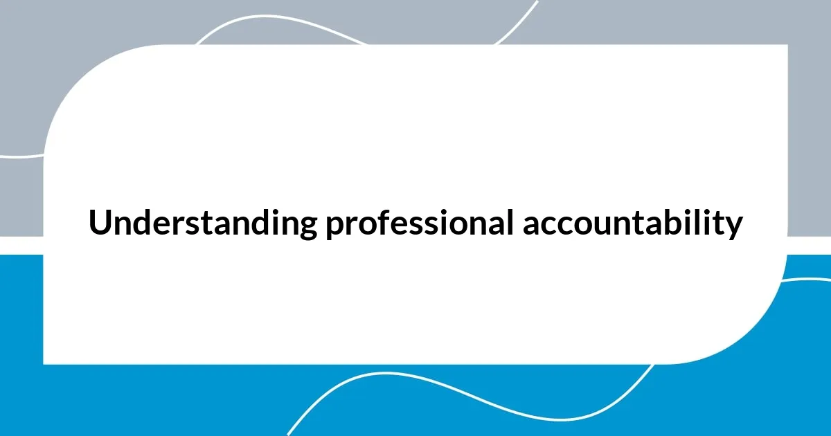 Understanding professional accountability